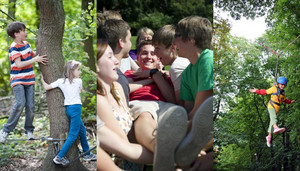 AE Collage 1