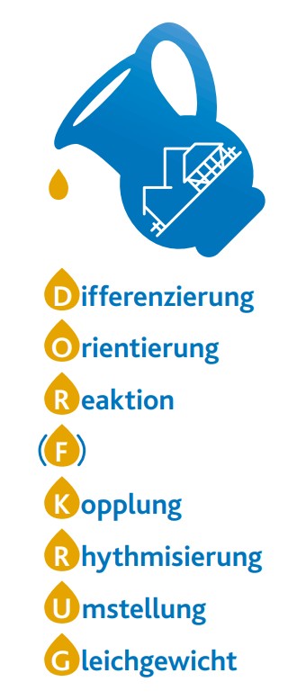 DOR(F)KRUG, die Eselsbrücke für sieben koordinative Fähigkeiten