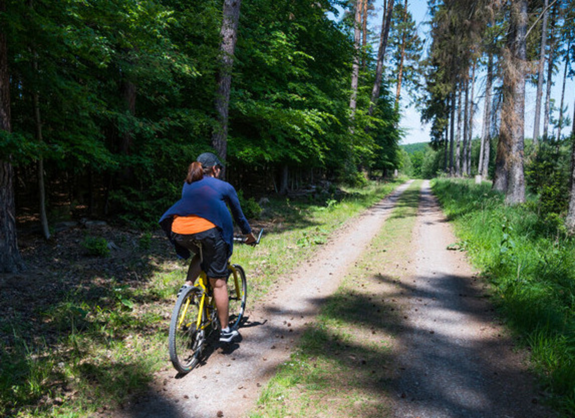 Person fährt im Wald Fahrrad