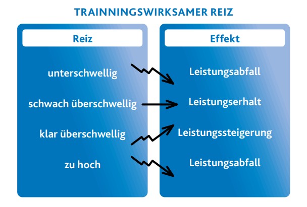 Grafik zum Prinzip des trainingswirksamen Reizes, links steht der Reiz und rechts der Effekt 