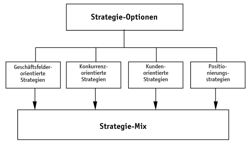 Strategie-Optionen im Überblick